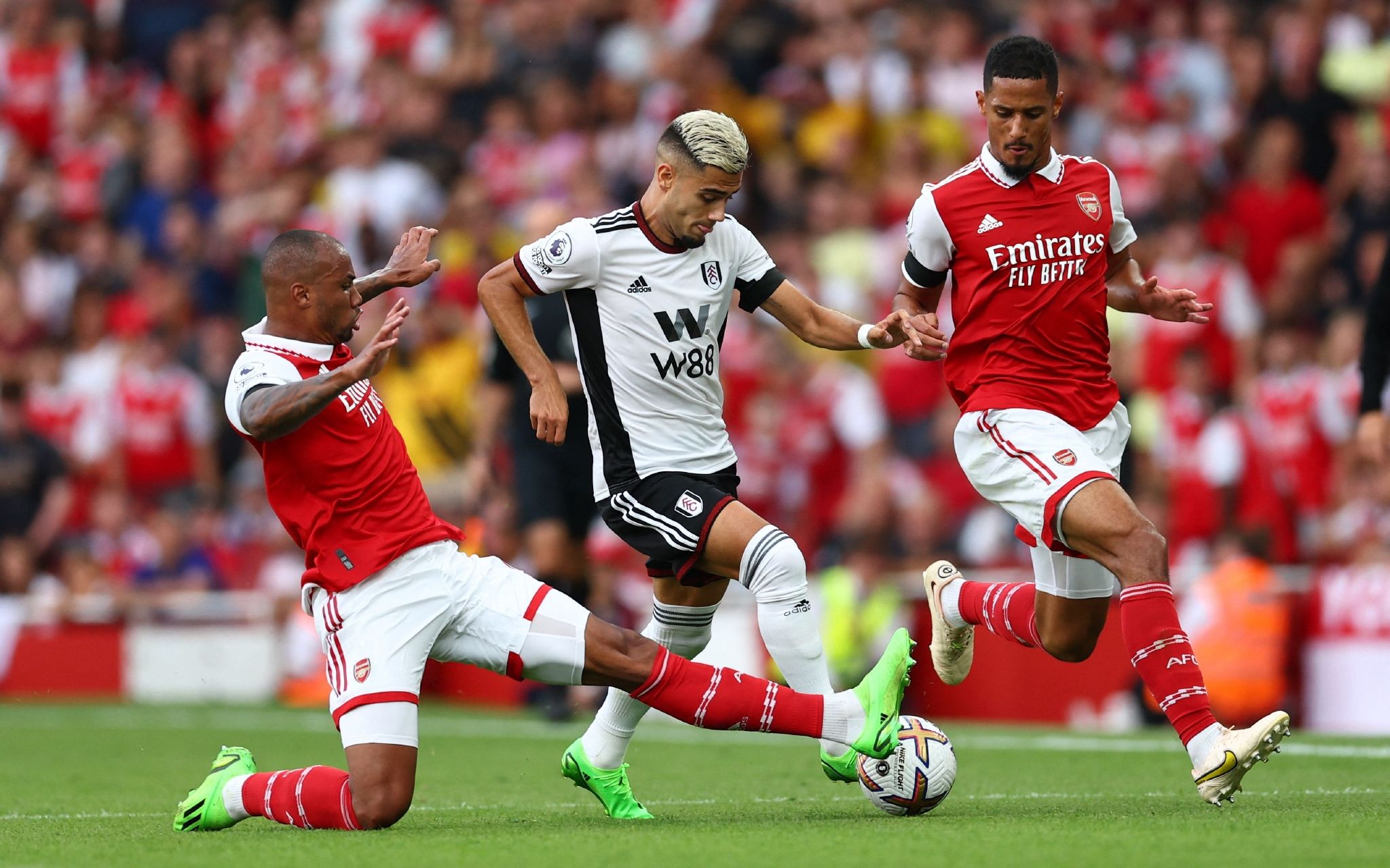 是突出的终 是突出的终